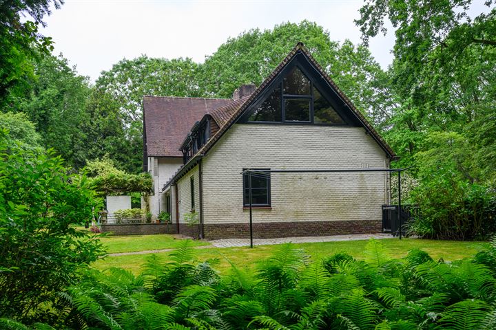 Bekijk foto 24 van Pruisenbergen 1