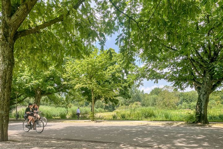 Bekijk foto 18 van Van Oldenbarneveldtstraat 30-4