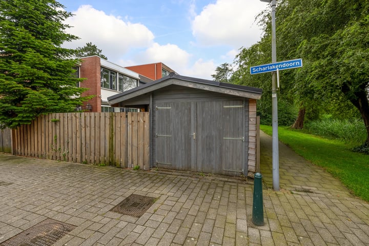 Bekijk foto 41 van Scharlakendoorn 40