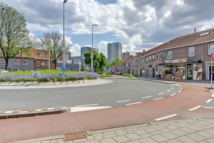 Bekijk foto 2 van Vredeman de Vriesstraat 87