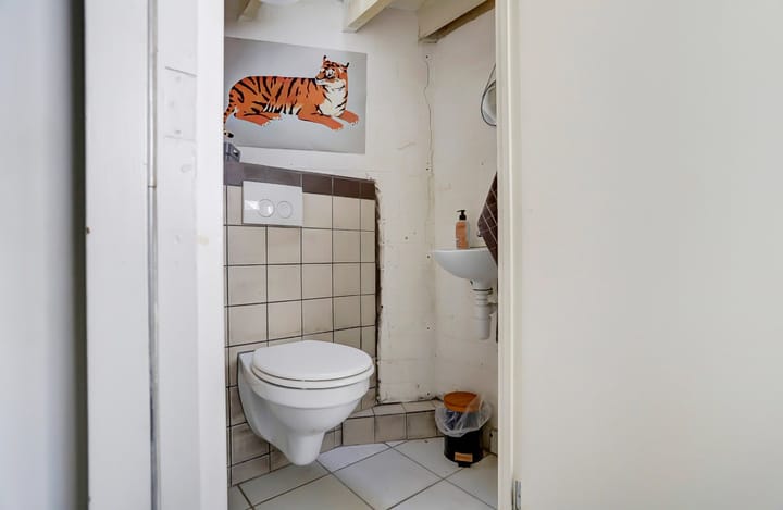 Foto 8 van Vredeman de Vriesstraat 87