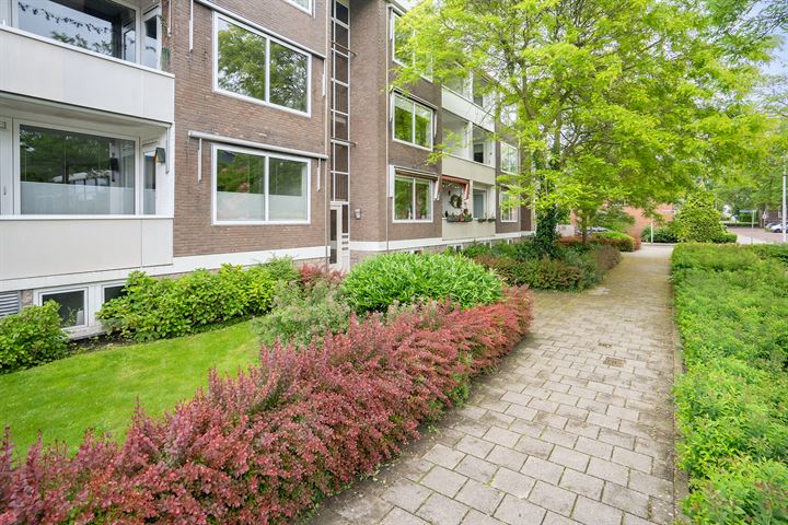 View photo 40 of Ambonstraat 28