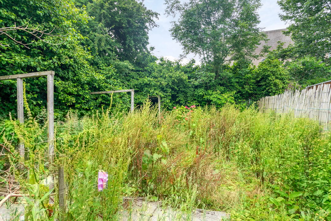 Photo 31 of Pasweg 70