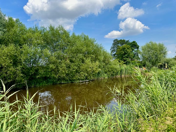 Foto 17 van Stroopuit 3