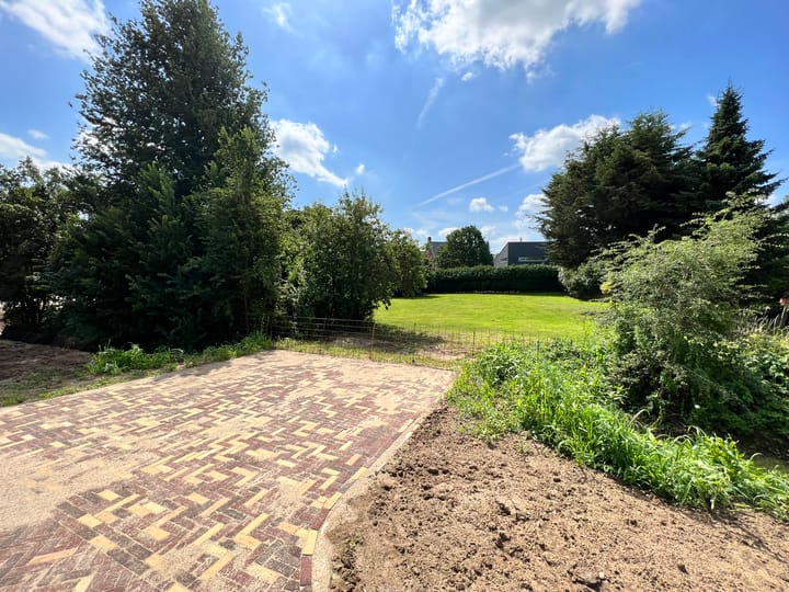 Foto 2 van Fritz Langstraat