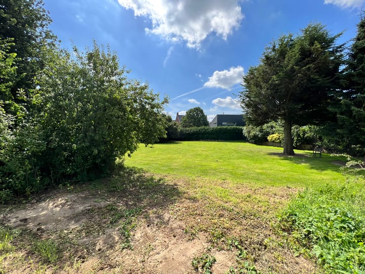 Foto 3 van Fritz Langstraat