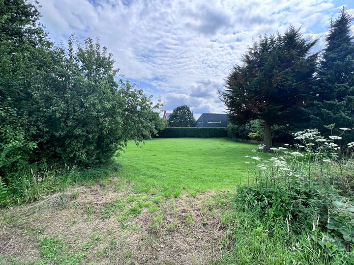 Foto 4 van Fritz Langstraat