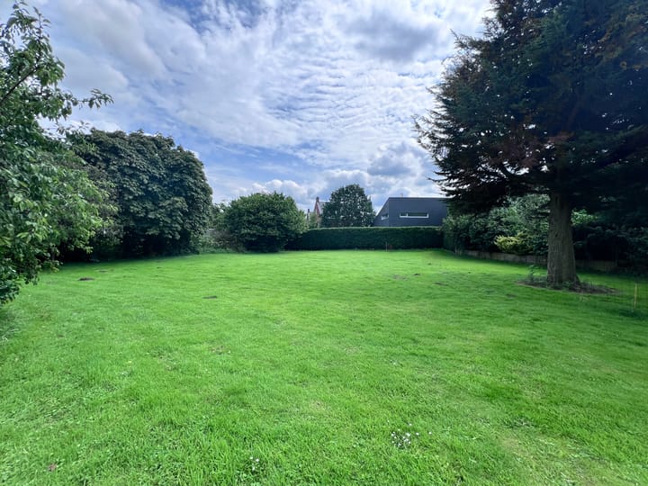 Foto 5 van Fritz Langstraat