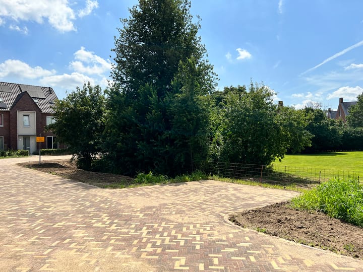 Foto 8 van Fritz Langstraat