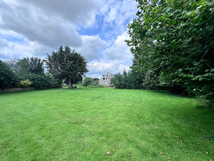 Foto 11 van Fritz Langstraat