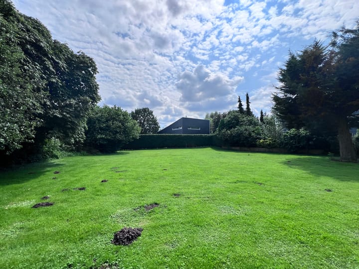 Foto 12 van Fritz Langstraat