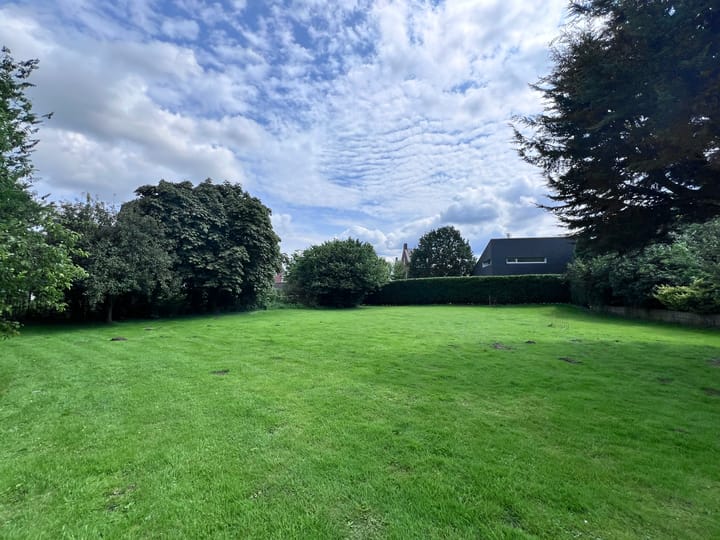 Foto 13 van Fritz Langstraat