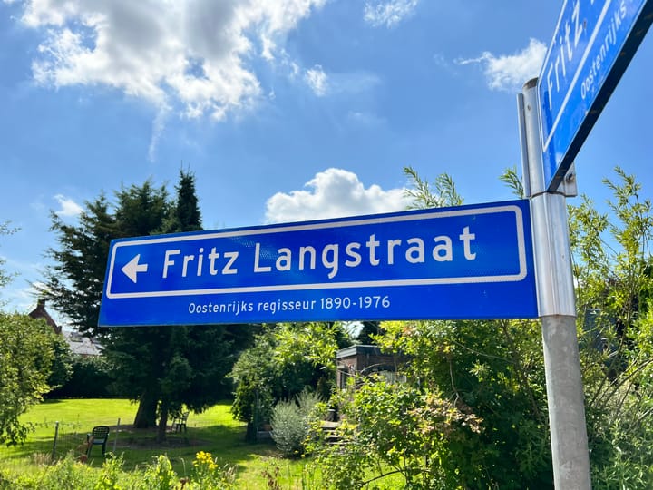 Foto 1 van Fritz Langstraat