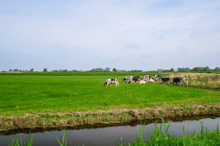 Bekijk foto 34 van Voorpolderweg 38