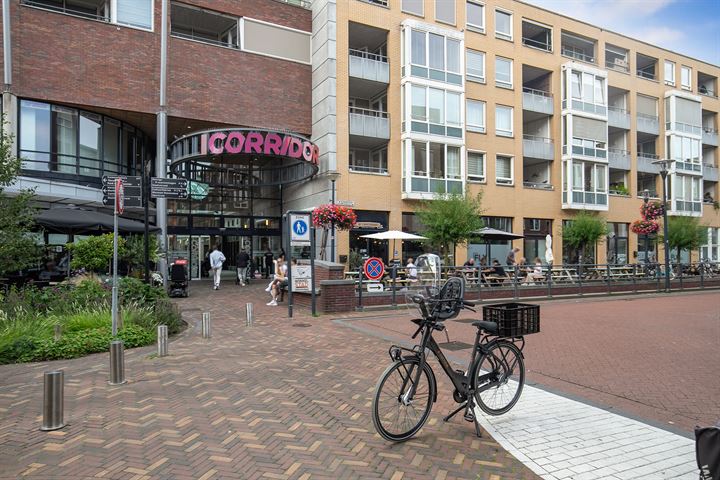 View photo 41 of Godfried Bomansstraat 6