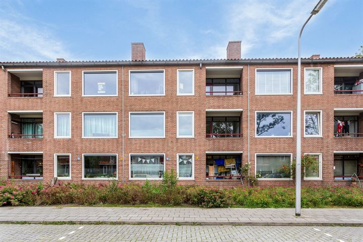 Bekijk foto 1 van Haydnstraat 56-B