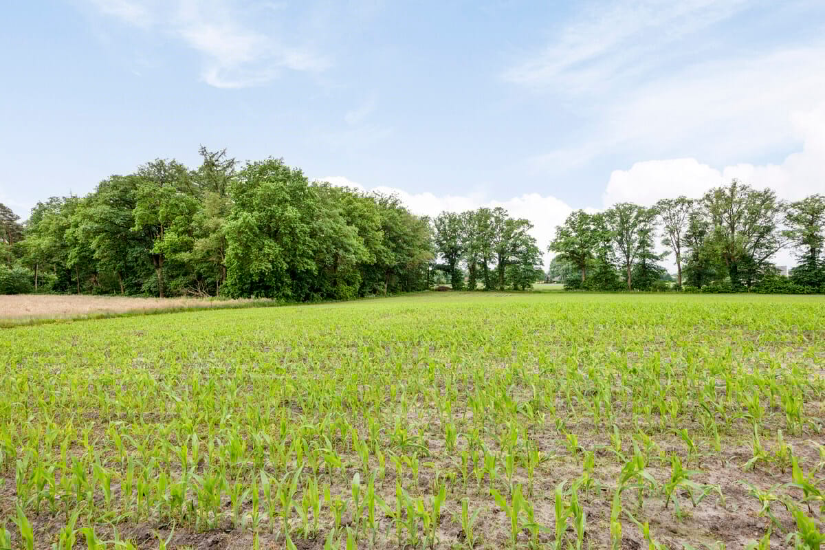 Foto 4 van Bentelosestraat 83