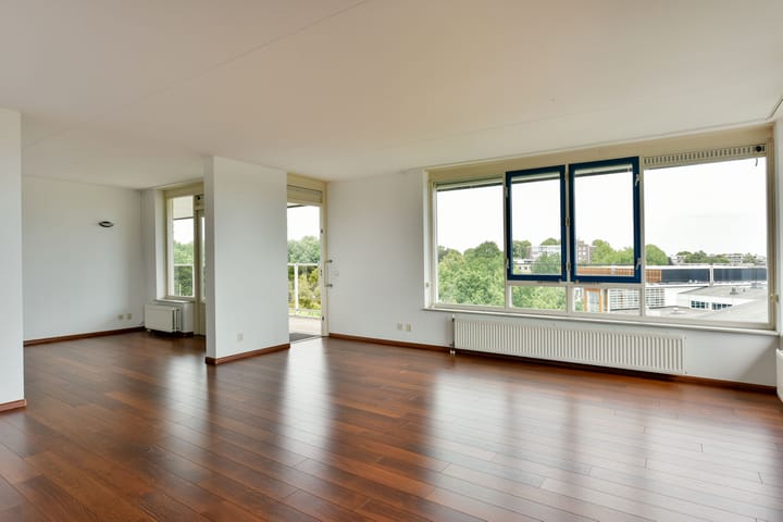 Foto 4 van Dalplein 55