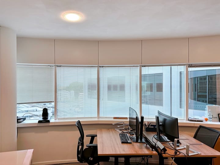 Barbara Strozzilaan 201