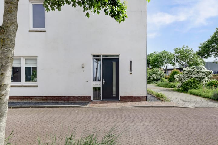 Foto 7 van Honingklaver 1