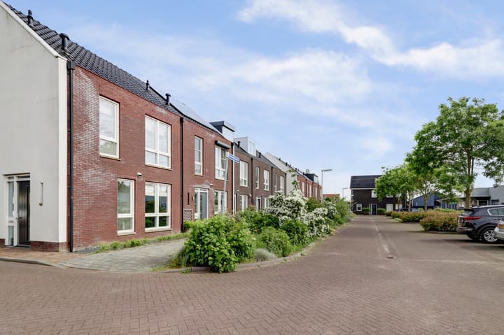 Foto 31 van Honingklaver 1