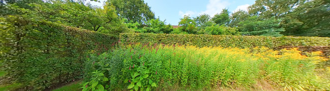 Bekijk 360° foto van Achtertuin 4 van Vriezenveenseweg 25