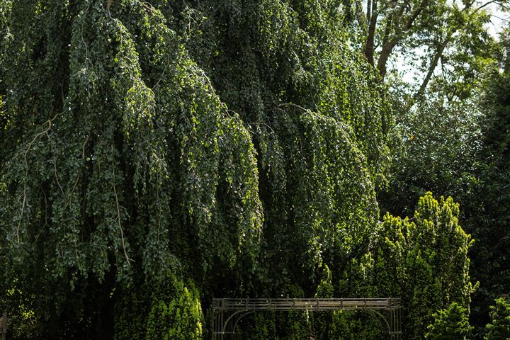 Bekijk foto 47 van Weteringpark 5