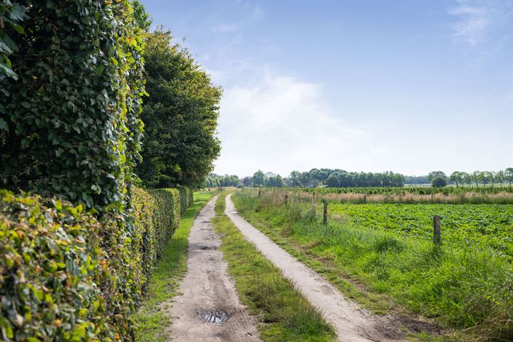 Bekijk foto 32 van Martenshofstede 36