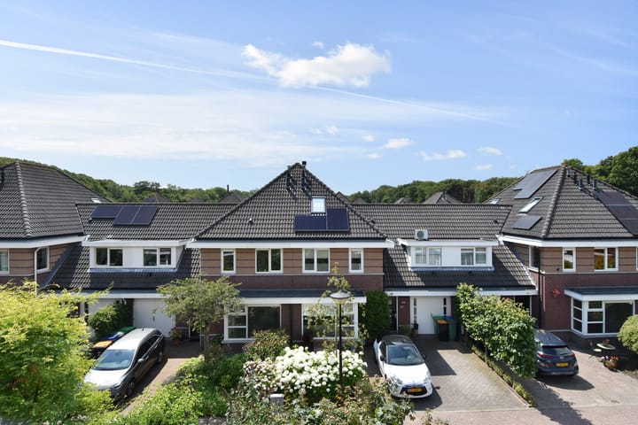 Foto 50 van Alexine Tinnepad 31