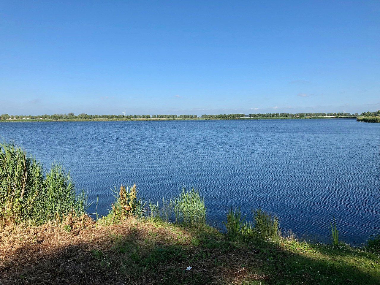 Foto 14 van Raadhuisstraat 27-H83