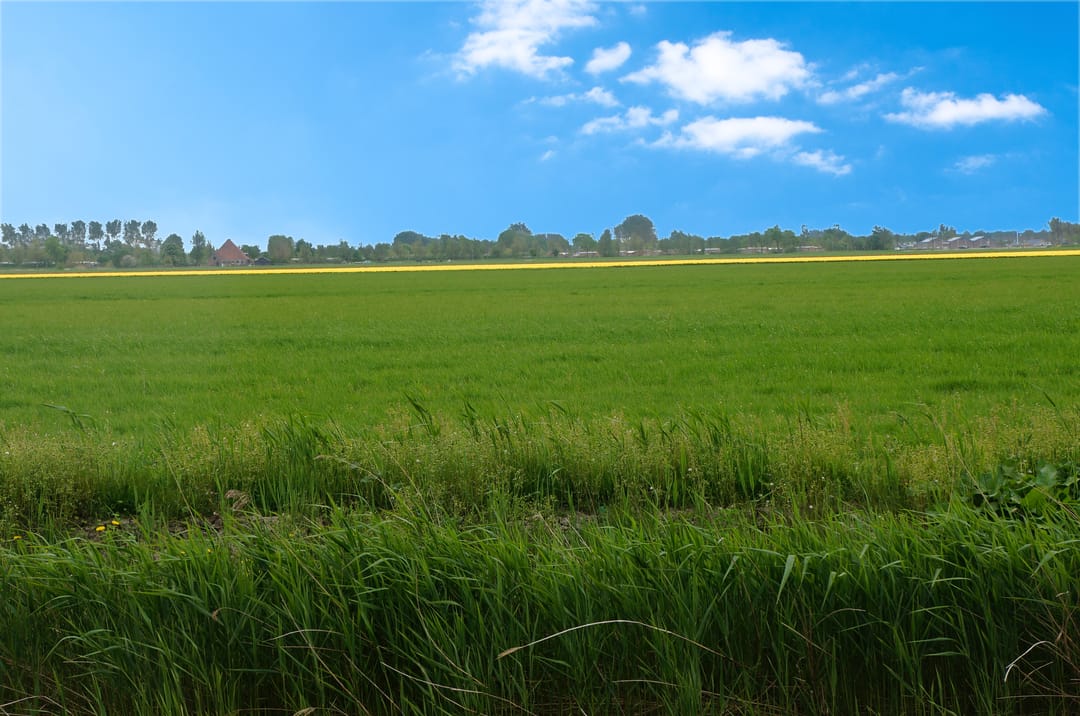 Foto 13 van Raadhuisstraat 27-H83