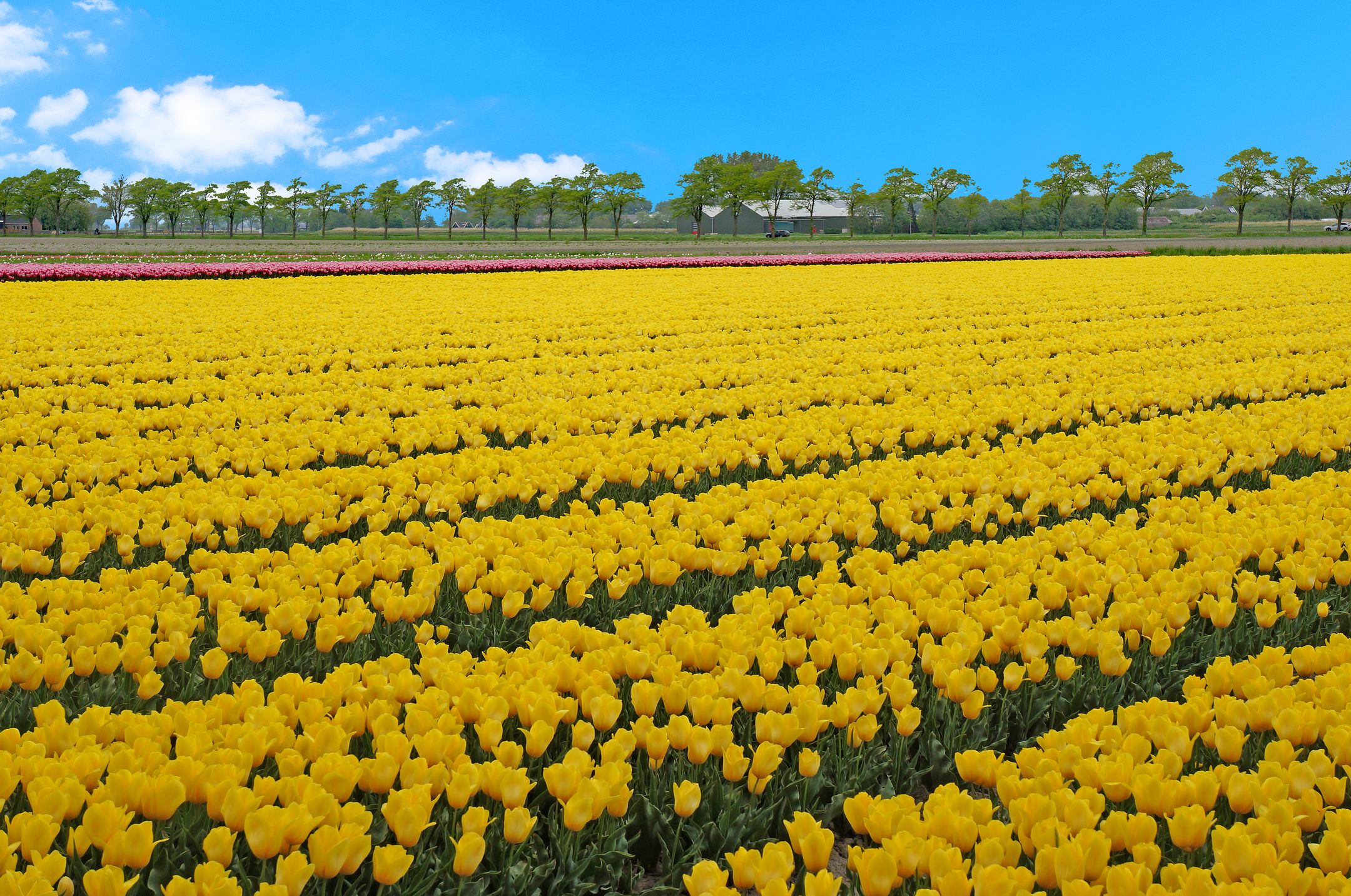 Foto 15 van Raadhuisstraat 27-H83