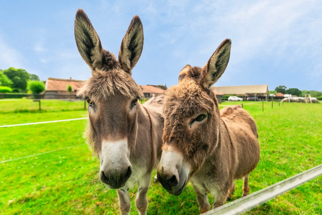 Foto 43 van Chaamseweg 79