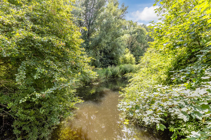 Bekijk foto 29 van Kruiszwin 5613