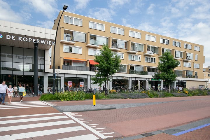 Foto 43 van P C Boutenssingel 51