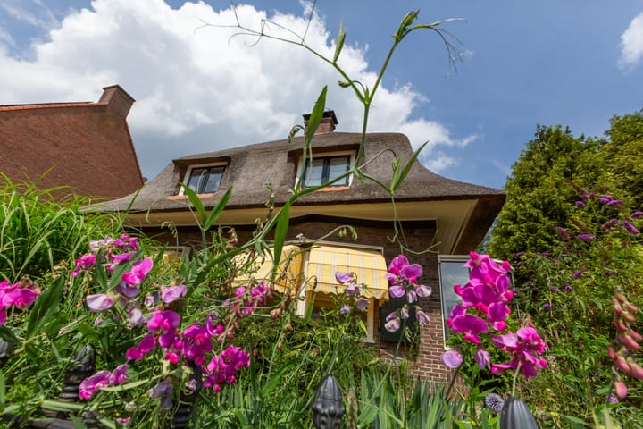 Foto 2 van Burg Grothestraat 20