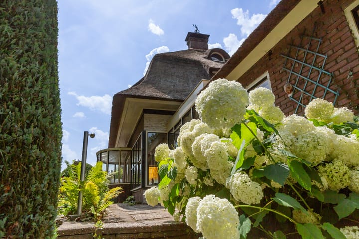 Foto 30 van Burg Grothestraat 20