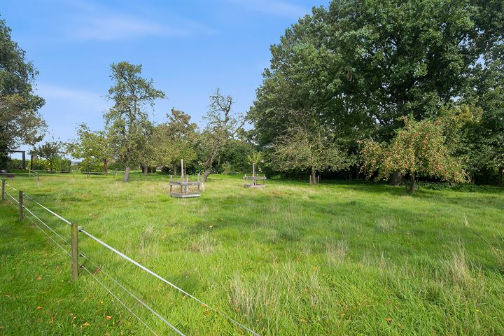 Bekijk foto 38 van Zuiderzeestraatweg 230