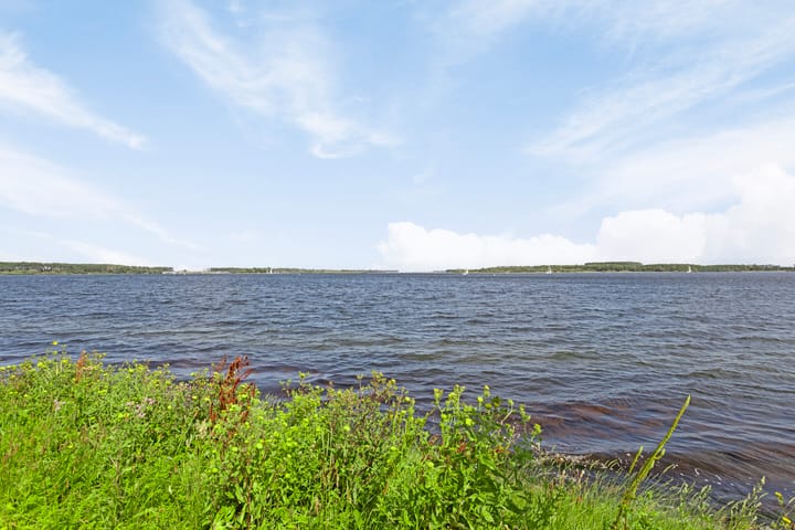 Photo 4 of Lamsoor 45