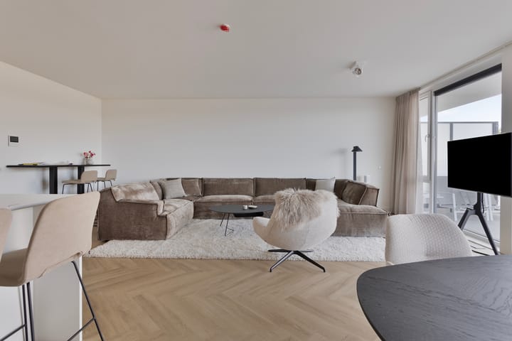 Photo 8 of Lamsoor 45