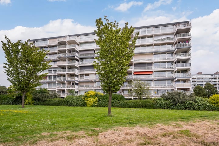 Foto 29 van Merellaan 313