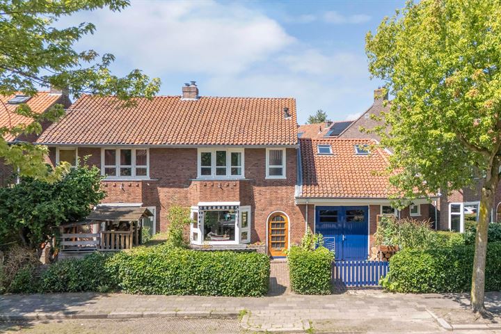 Bekijk foto 41 van Hobbemastraat 8