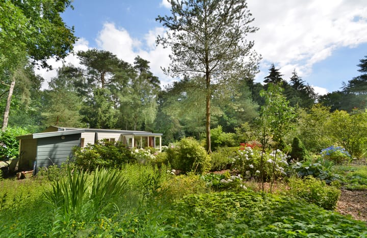 Foto 2 van Hof van Halenweg 2-HH8