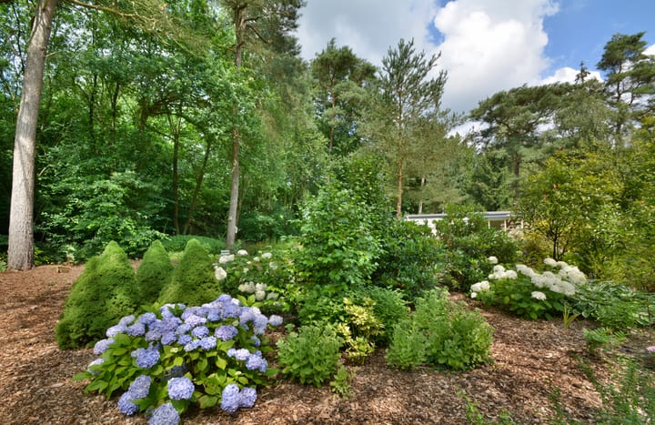 Foto 4 van Hof van Halenweg 2-HH8