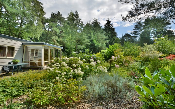 Foto 5 van Hof van Halenweg 2-HH8