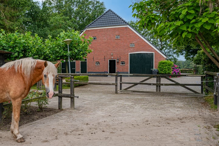 Bekijk foto 64 van Wollinghuizerweg 50