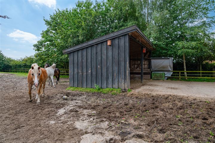 Bekijk foto 68 van Wollinghuizerweg 50