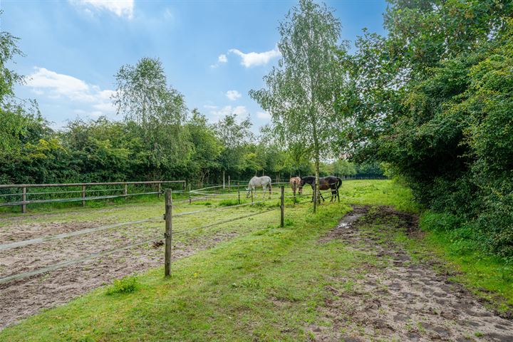 Bekijk foto 78 van Wollinghuizerweg 50