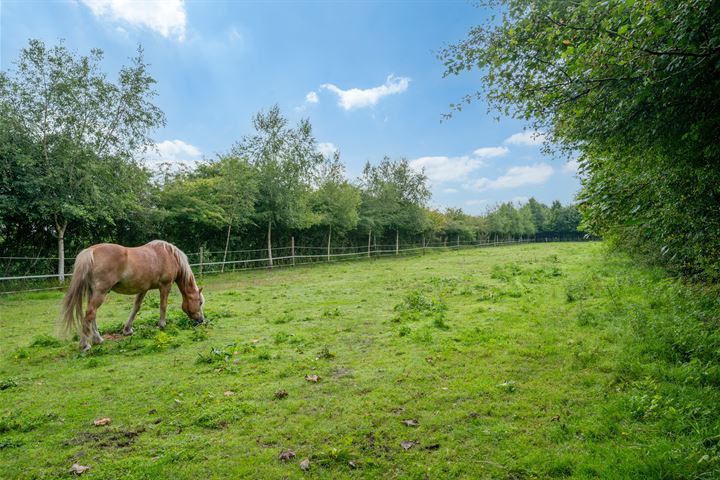 Bekijk foto 79 van Wollinghuizerweg 50