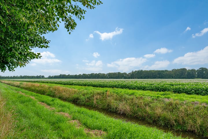 Bekijk foto 90 van Wollinghuizerweg 50